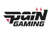PaiN Gaming Дота 2, логотип команды