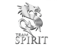 Team Spirit Дота 2, логотип команды